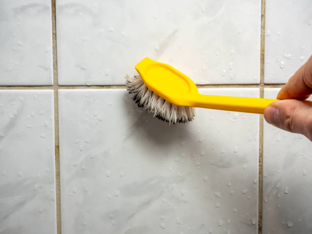 Best Mold Removal Process  in Pine Valley, CA